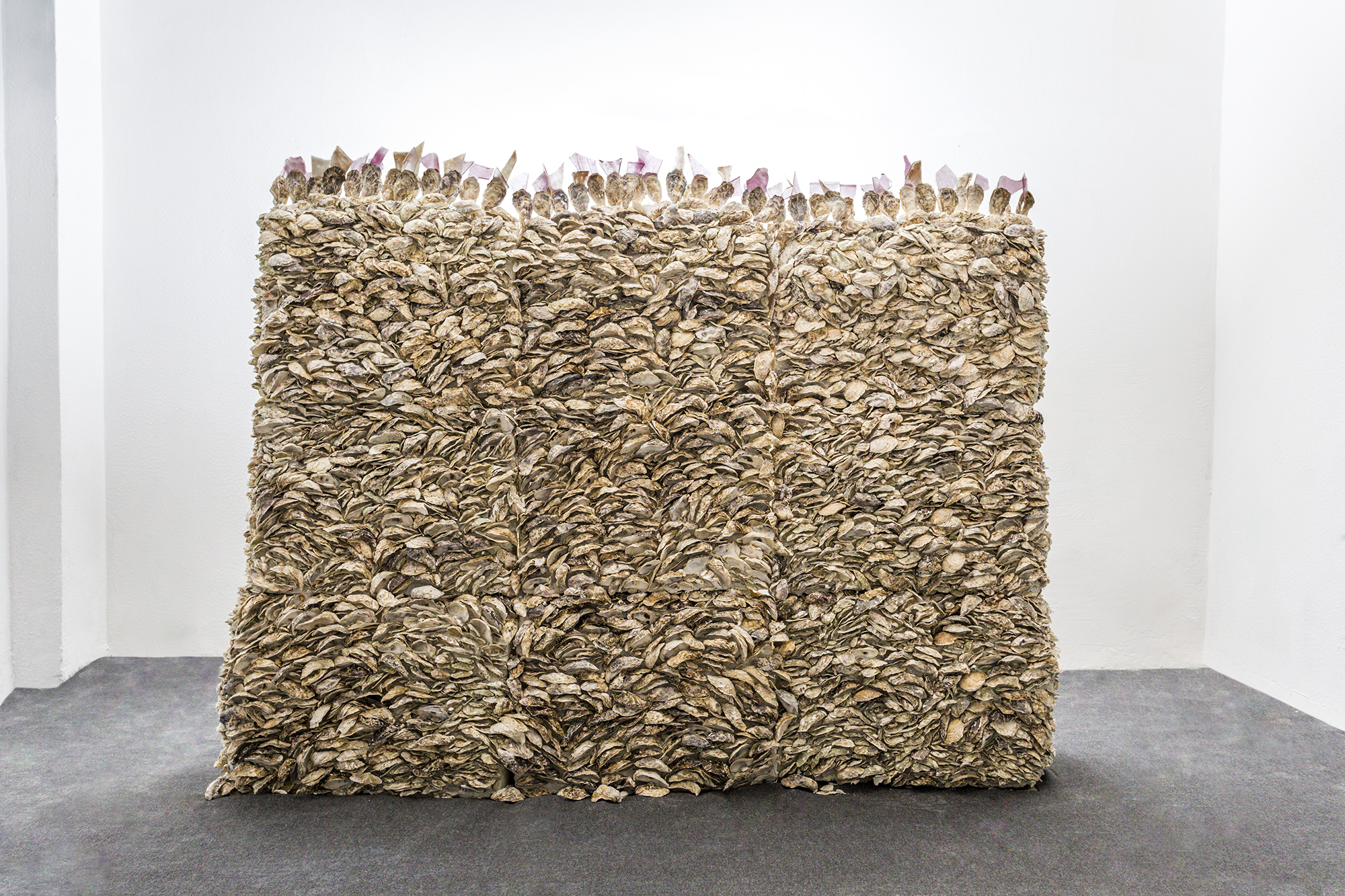 Giuseppina Giordano, THE WALL OF DELICACY (ode to China), 2018 / oyster shells, glass / 250x190x60 cm