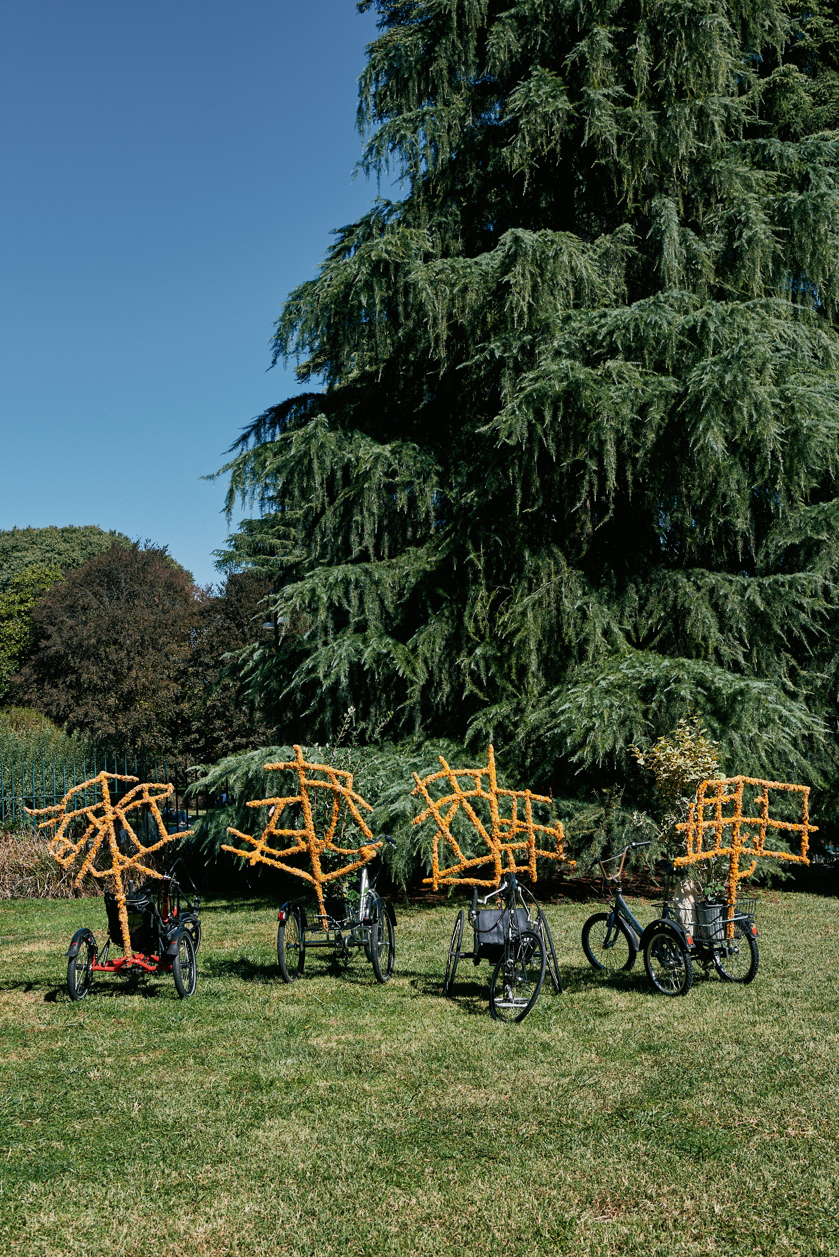 Giuseppina Giordano, I'M (NOT) A TREE #freedomofmovement,Performance, special bikes (handbikes, tricycles), trees and 4 calendula flower sculptures