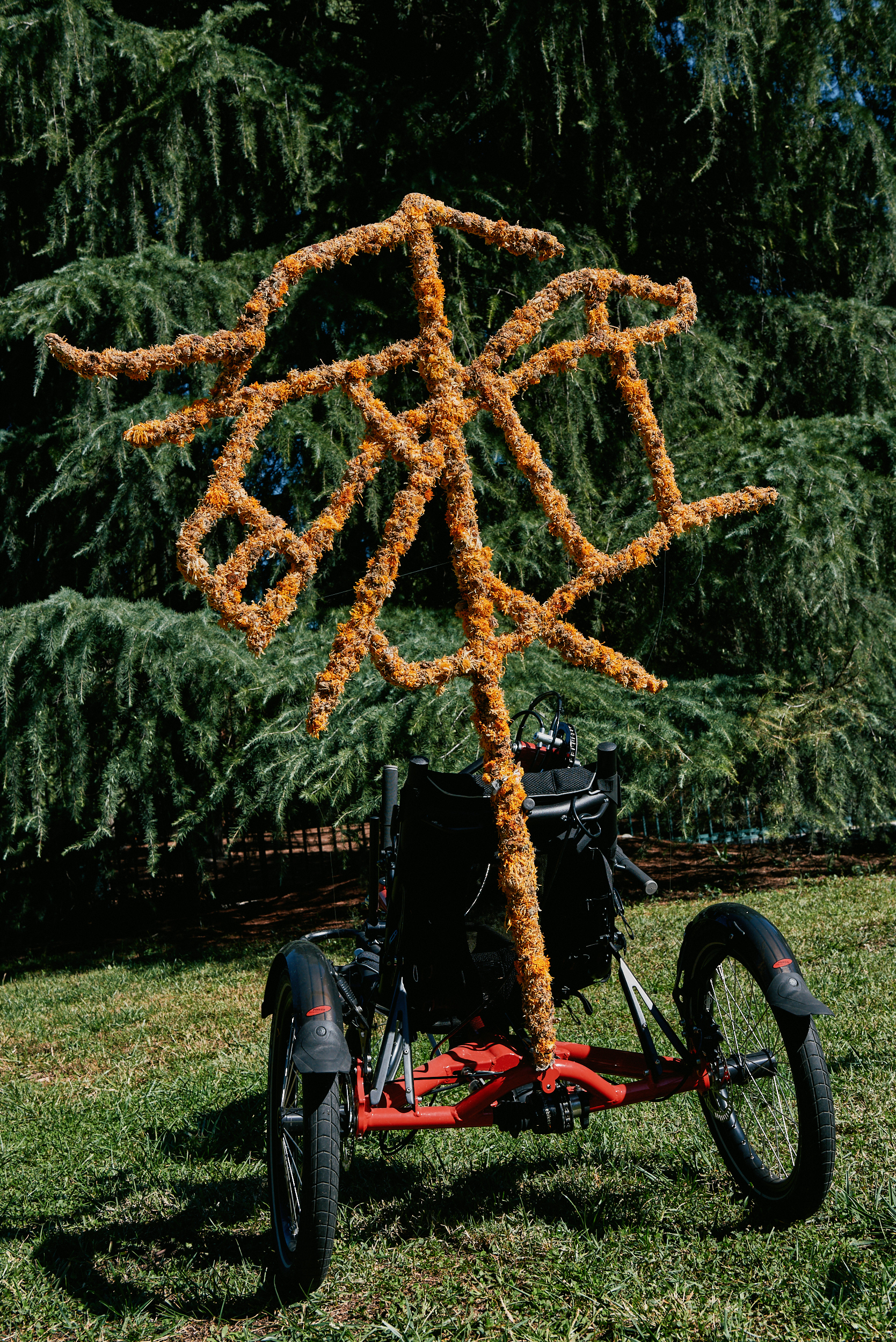 Giuseppina Giordano, I'M (NOT) A TREE #freedomofmovement,Performance, special bikes (handbikes, tricycles), trees and 4 calendula flower sculptures