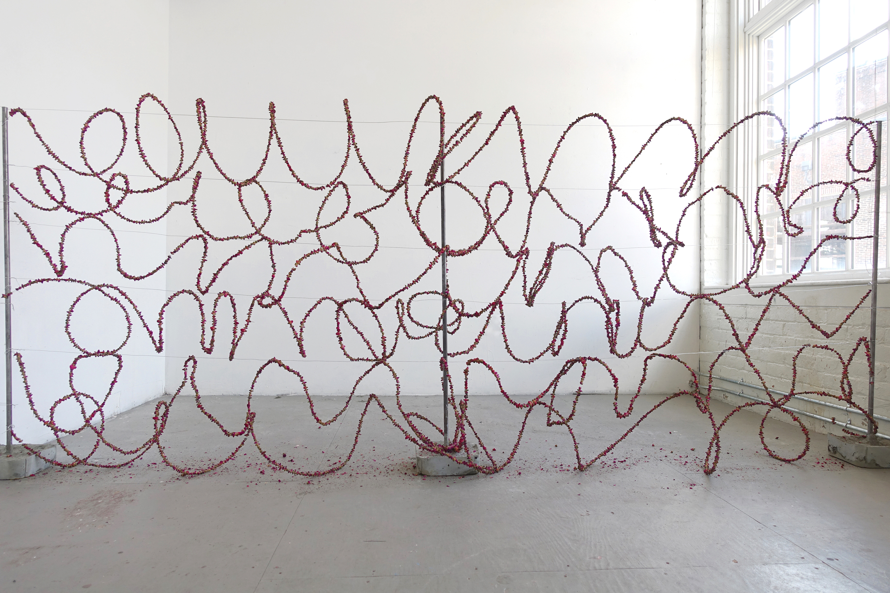 Giuseppina Giordano, THE WALL OF DELICACY (Ode to America)