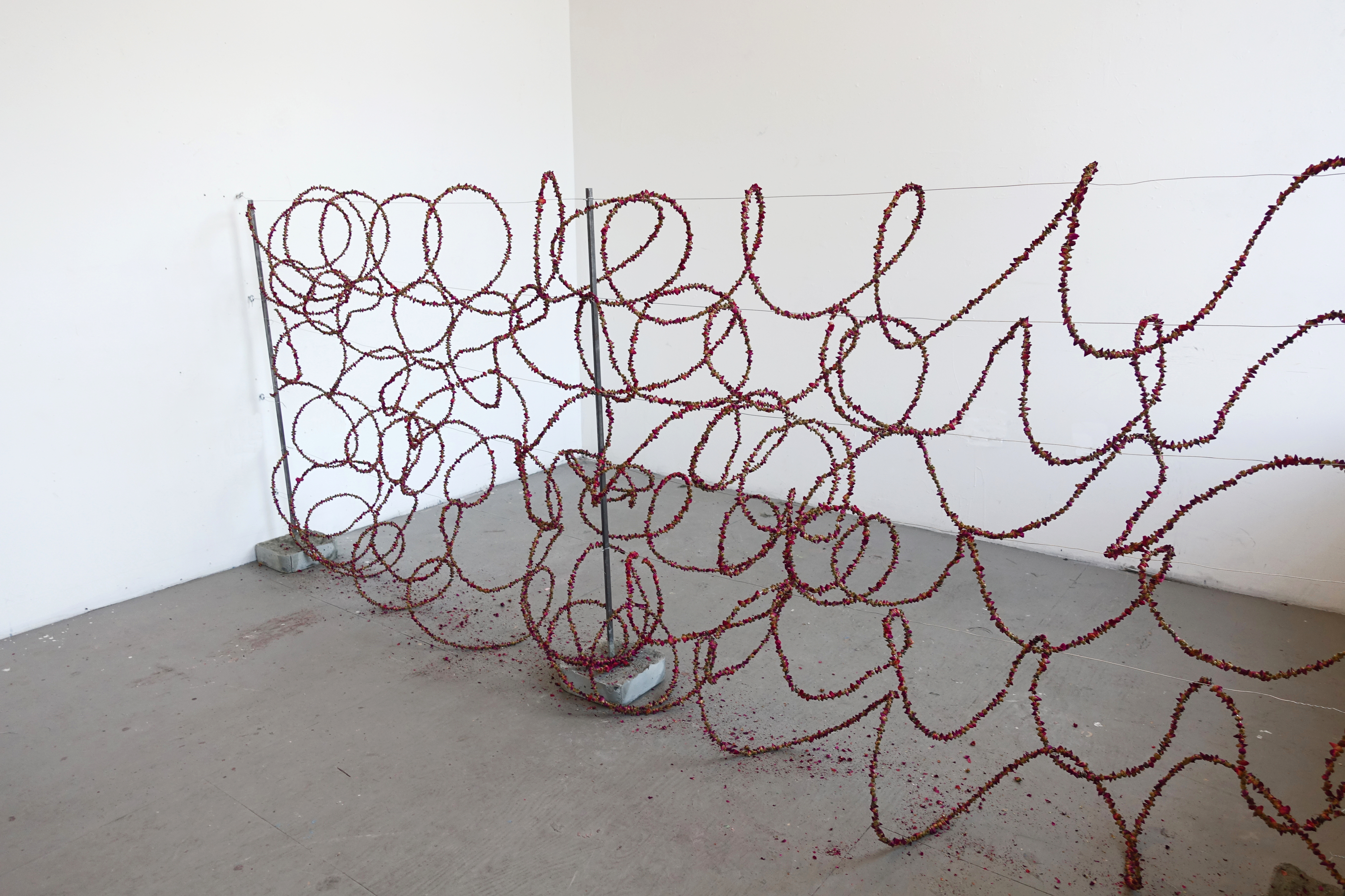 Giuseppina Giordano, THE WALL OF DELICACY (Ode to America)