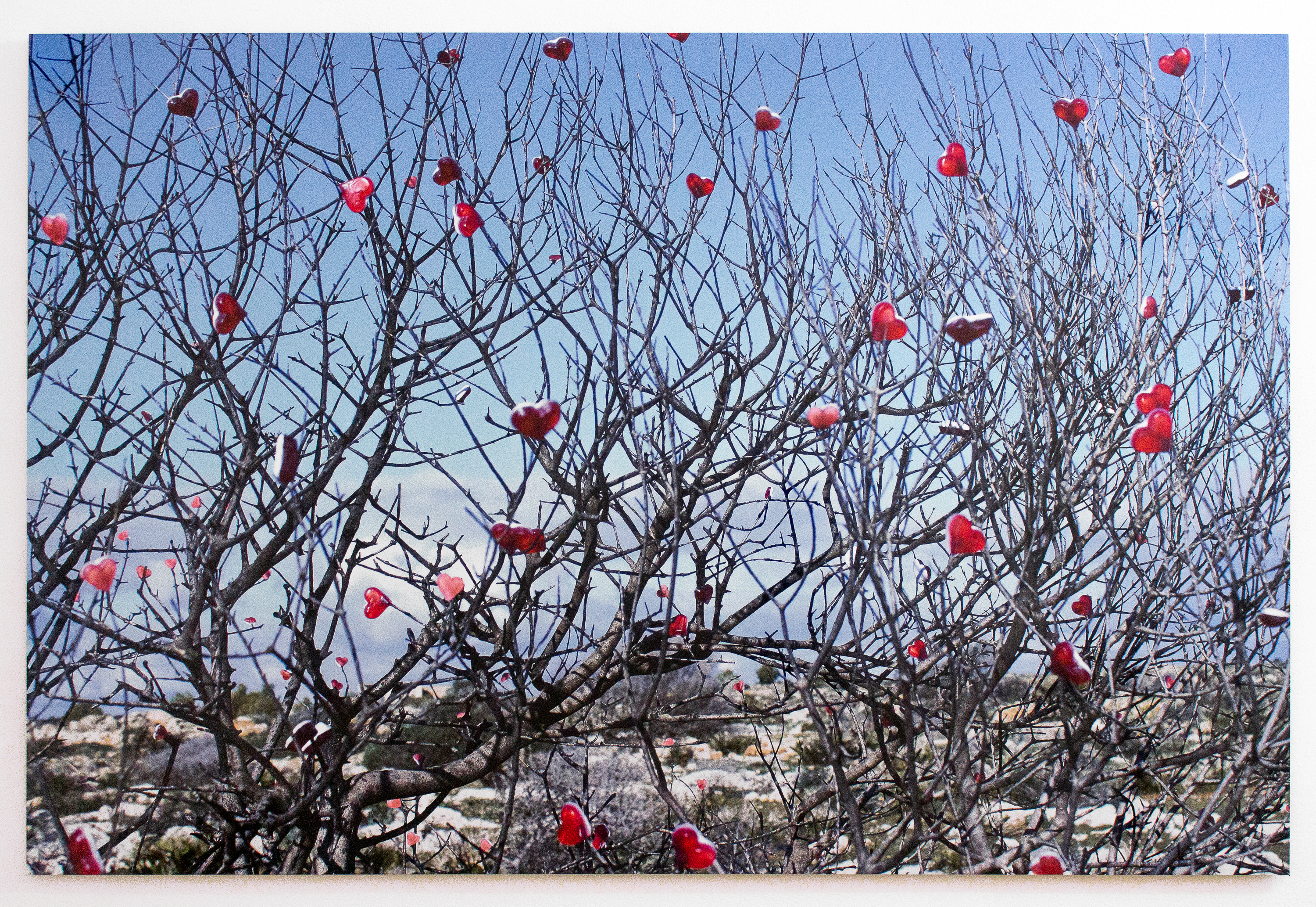 Giuseppina Giordano, SICILY KAWAII (hearts), 2021